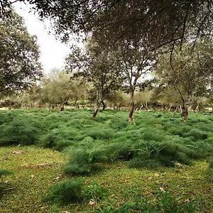 La Fuensanta Villa